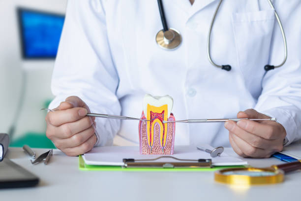 Best Emergency Root Canal Treatment in Kyle, TX
